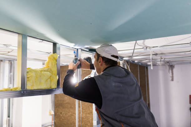 Best Residential Insulation in Hooks, TX